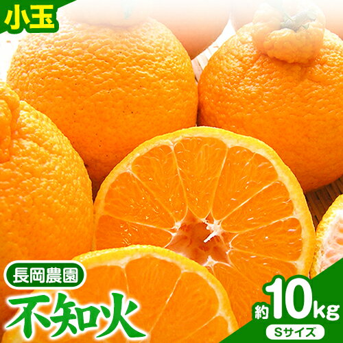 【ふるさと納税】小玉 不知火 ( デコポン )と同品種 約10kg 長岡農園《2026年3月中旬-4月下旬頃出荷》和歌山県 日高川町 果物 フルーツ 柑橘 不知火 しらぬい 小玉 送料無料