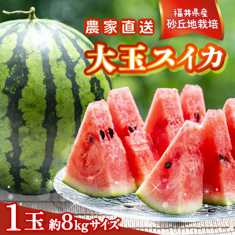 【ふるさと納税】【先行予約】農家直送 砂丘地ハウス栽培 福井県産大玉スイカ 8kgサイズ 1玉【2026年6月中旬以降順次発送予定】