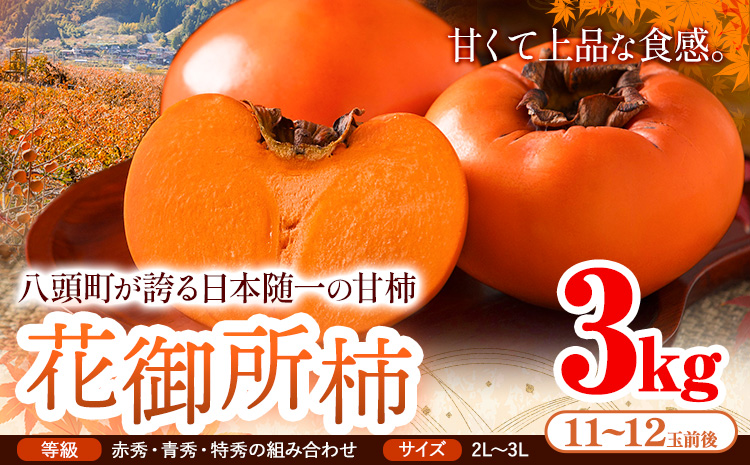 柿 八頭町が誇る 日本随一の 甘柿 花御所柿 3kg Tottori食のまごころ農園 《11月下旬-12月下旬頃出荷》鳥取県 八頭町 柿 かき カキ 花御所柿 甘柿 果物 フルーツst-p
