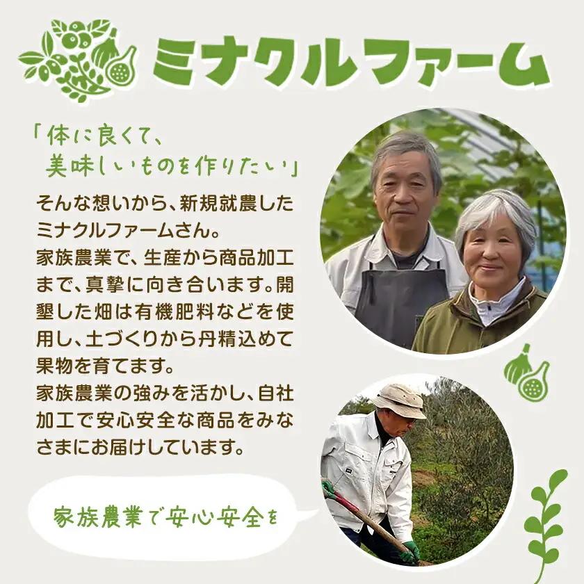 ドライ いちじく フレッシュドライ ドライフルーツ いちじく 200g (100g×2パック) ミナクルファーム《9月上旬-11月下旬頃出荷》 熊本県 苓北町 送料無料 南蛮柿 果実 果物 健康食材 