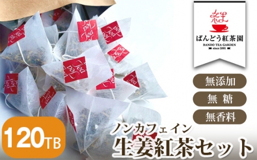 No.118 【120TB】ノンカフェイン生姜紅茶セット  無添加・無糖・無香料 ／ ジンジャーティー しょうが 茨城県