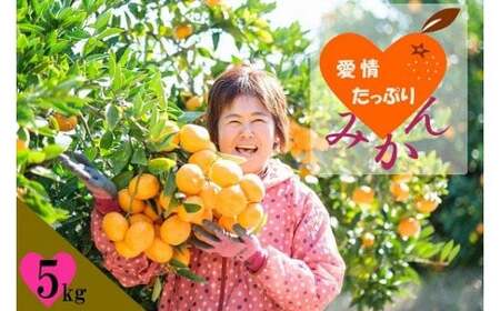 L‐127 愛情たっぷりたらみかん 5kg 温州 みかん ミカン 蜜柑 温州蜜柑 温州ミカン フルーツ くだもの 果物 ミネラル豊富 太良町 国産 贈答用 お中元 お歳暮