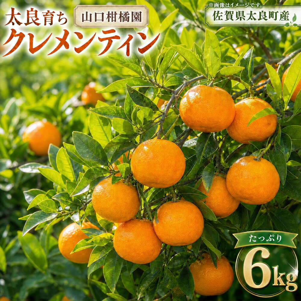 【ふるさと納税】スペイン生まれのたら育ちクレメンティン 6kg クレメンティン みかん 柑橘 国産 オレンジ マンダリン 希少 ジューシー 佐賀県 太良町 ND2x1 【2026年12月上旬～2027年1月上旬発送予定】
