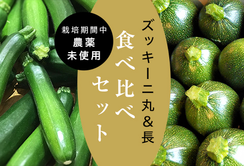 【2025年6月中旬より順次発送】【数量限定】栽培期間中農薬不使用「長＆丸ズッキーニ食べ比べ」【配送不可地域：離島】