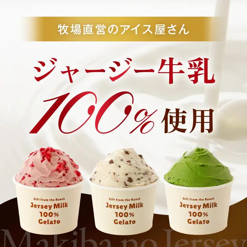 【ジャージー牛乳使用】まきばのジャージーアイス人気の12種12個セット F21C-036