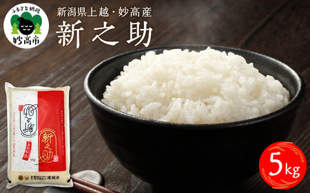 【2026年7月中旬発送】令和7年産 新潟県上越妙高産新之助5kg※沖縄県・離島配送不可