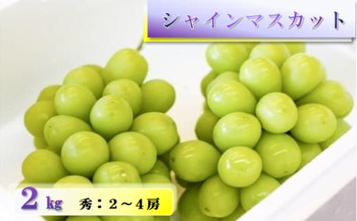 08-04-003　ぶどう(シャインマスカット)2kg