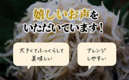 しらす 1kg ( 1kg × 1パック ) 冷凍 小分け | 釜揚げ しらす丼 魚 しらす さかな しらす ご飯 しらす 炒飯 じゃこ しらす 愛媛県 松山市 【IY0031】