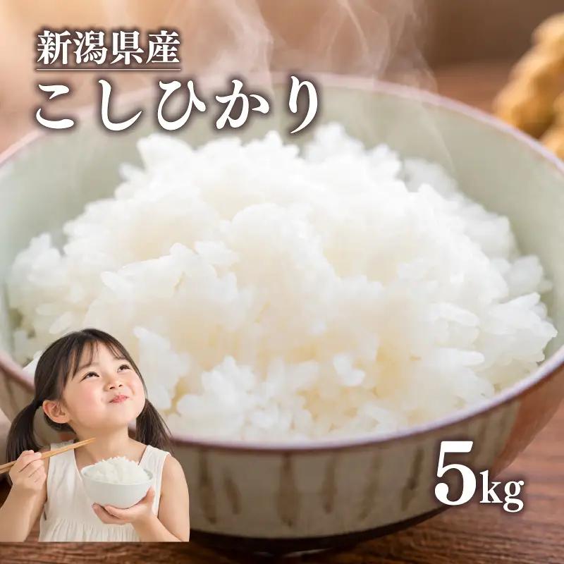 最短3日発送 新米 新潟県産 コシヒカリ 5kg 新米 令和8年産 こめ コメ 米 新潟 新潟県産 こしひかり 白米 こめ ごはん おにぎり お弁当 農家直送 産地直送 ふるさと納税 四代目 悠助 新潟 新潟県 新発田市 kwsKK001_01_F