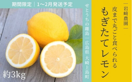 [1～2月発送] 大崎上島産 皮まで丸ごと食べられる！もぎたてレモン約3kg