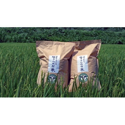 【ふるさと納税】令和7年産「牛さんのお米」はるみ　10kg(5kg×2袋)【1350013】