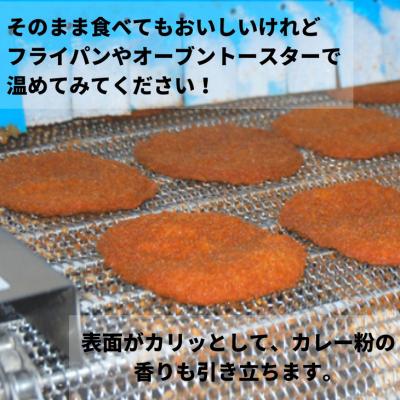 ふるさと納税 小松島市 津久司蒲鉾の「フィッシュカツ」100枚(10枚×10袋)　冷凍　業務用　居酒屋 |  | 03