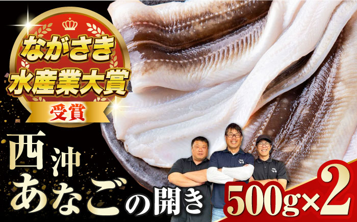 
対馬産 天然あなごの開き500g×2《対馬市》【すし処慎一】国産 肉厚 穴子 アナゴ 新鮮 冷凍 白焼き 天ぷら 揚げ物 贈り物 [WCO002]
