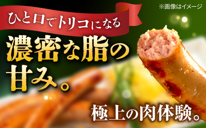 『命豚ソーセージ4種＆命豚ハンバーグ2種セット』 豚肉 ハンバーグ ソーセージ 詰め合わせ お取り寄せ 国産 ギフト 冷凍 沖縄市 / DELICATESSEN NUCHIBUTA [BCAR002]