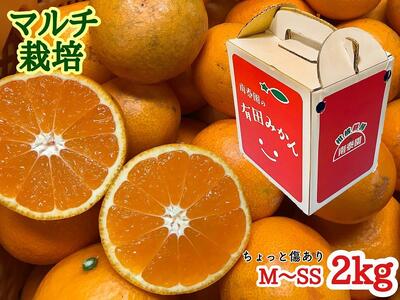 定期便 ちょっと 傷あり 2kg × 3回 コース 有田みかん 食べくらべ 3種 全3回 南泰園