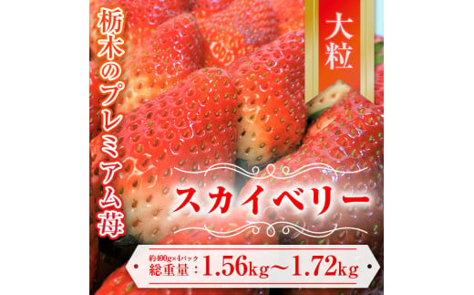 【先行予約】スカイベリー 約390g～430g×4パック | いちご 栃木 スカイベリー 甘い 糖度 旬 新鮮 フルーツ 果物 アレンジ スイーツ いちごジャム フルーツサンド　※離島への配送不可　※2025年1月中旬～3月下旬頃に順次発送予定