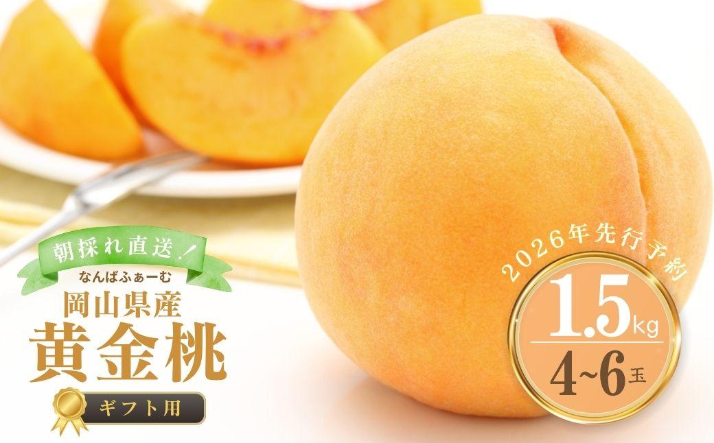 【2026年先行予約】［なんばふぁーむ］岡山県産 黄金桃 1.5kg（4～6玉）[ギフト用]桃 もも モモ おうごんとう フルーツ 果物  朝採り旬 岡山県産 産地直送 産直 送料無料 鏡野町桃 もも