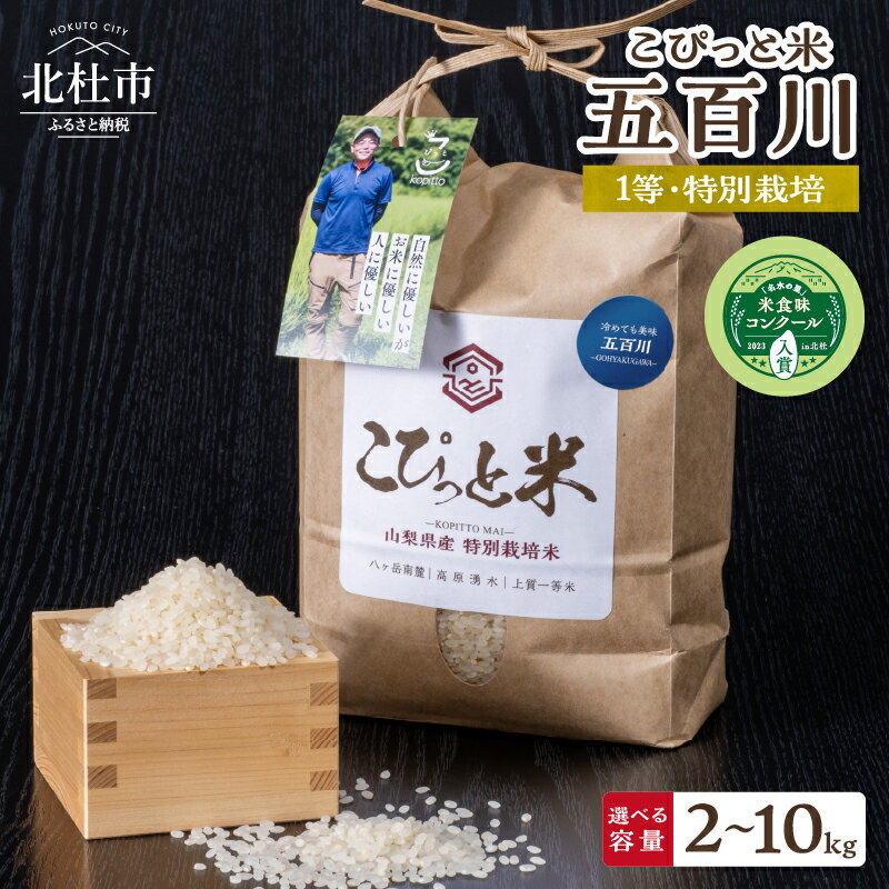 【ふるさと納税】 米 精米 選べる容量 2kg 4kg 10kg 【令和7年度新米】 五百川 1等特別栽培米 100％ こぴっと米 早生品種 新米 令和7年産 北杜市産 お米 【令和7年度米】 送料無料