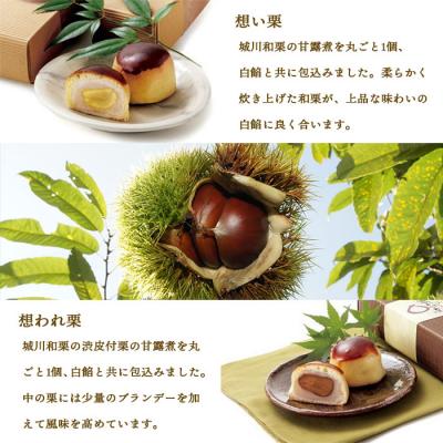 ふるさと納税 西予市 <道の駅きはない屋「想い・想われ」栗菓子セット(18個入)>　スイーツ　和菓子　和栗　丸ごと　国産 |  | 02