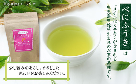 べにふうき 緑茶抹茶入（ ティーバッグタイプ ） 20個 × 3袋 K111-043_02 茶 お茶 緑茶 りょくちゃ 抹茶 まっちゃ ティーバッグ べにふうき まろやか メチル化 メチル化カテキン 