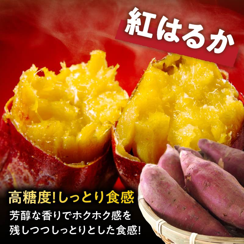 冷やし焼き芋(紅はるか) 計800g_T016-0105【さつまいも イモ 野菜 国産 人気 ギフト おかず おやつ やきいも ポテト デザート 送料無料 プレゼント】