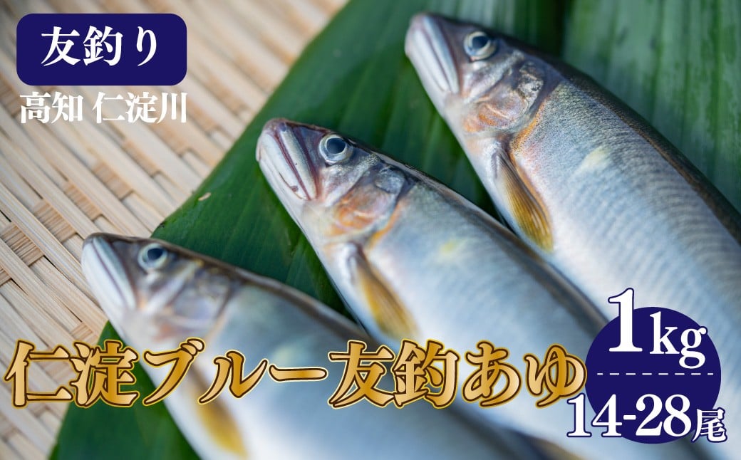 
            【14-28尾】有名料亭も絶賛！鮎屋仁淀川の仁淀ブルー友釣り天然鮎1000g
          