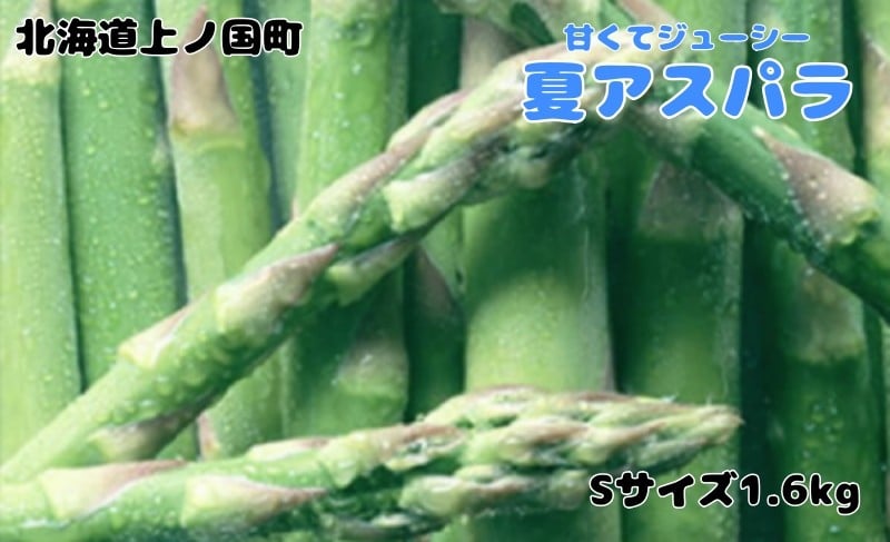 
            【2026年夏発送】寅福菜園の朝採り夏アスパラ　S（1.6kg）　グリーンアスパラ　朝採れ　農家直送　新鮮　甘い　夏野菜　旬野菜　特産品　北海道産 
          
