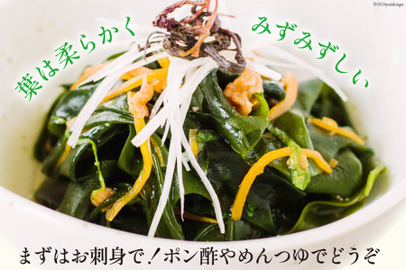 三陸産 おさしみわかめ 300g わかめ 