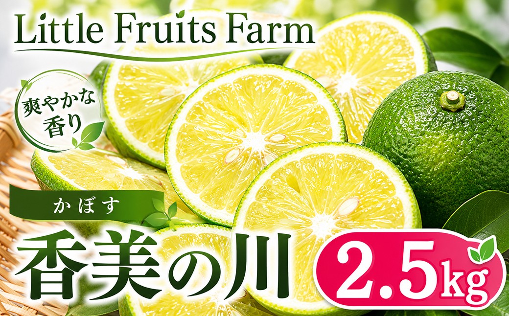 
                  香り抜群!果汁たっぷり!リトルフルーツファームのかぼす「香美の川」 約2.5kg ／ 柑橘類 果物 フルーツ 10月 11月 12月 ＜116-004＞
                
