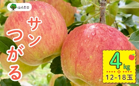 【先行予約丨2026年9月上旬より順次発送】サンつがる【約4kg(12〜20玉)】(At-004)丨長野県 飯山市 おすすめ ランキング おいしい 高評価 大人気 先取り 産地直送 りんご
