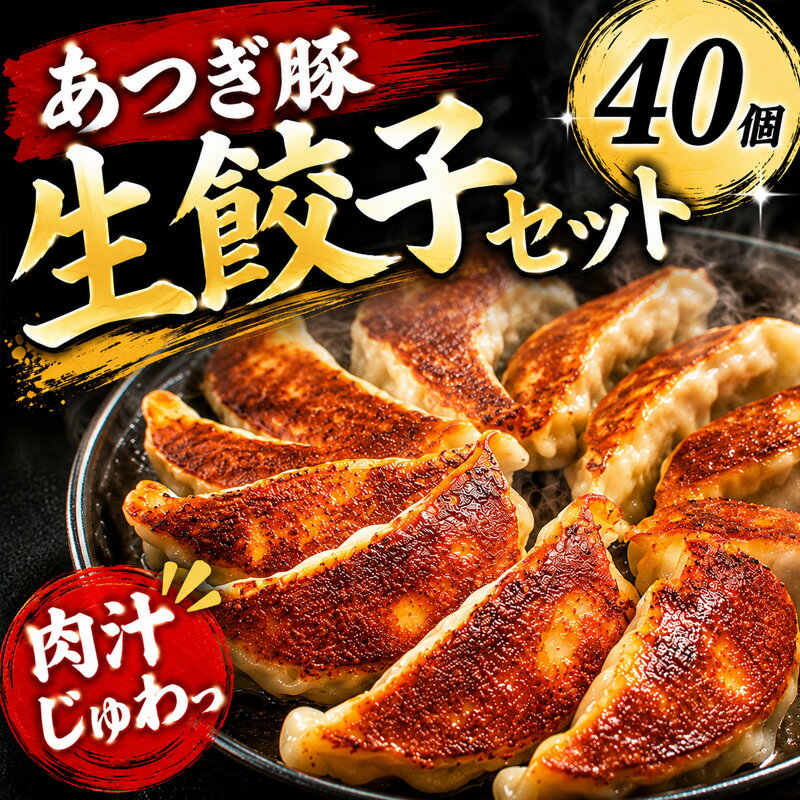 【ふるさと納税】 餃子 生餃子 ぎょうざ 1個 30g 40個 10,000円 大きい 冷凍餃子 焼き餃子 ギョーザ 肉餃子 冷凍食品 中華 あつぎ豚 あつぎ豚餃子 神奈川県 厚木市 株式会社うすいファーム