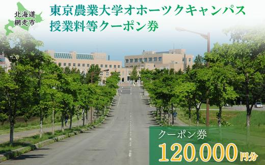 東京農業大学オホーツクキャンパス授業料等120,000円分クーポン券 【 ふるさと納税 人気 おすすめ ランキング 授業料等 大学 東京農業大学 東農大 東京農業 オホーツク キャンパス クーポン 券 学生 北海道 網走市 】 ABBD004