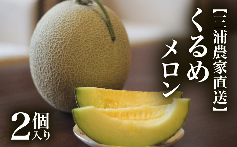 
            【三浦農家直送】くるめメロン（2個入り）　M003-006
          