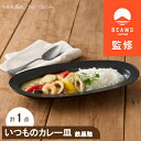 【ふるさと納税】【BEAMS JAPAN監修】 miyama.のカレーのうつわ　いつものカレー皿　 鉄黒釉【1456265】