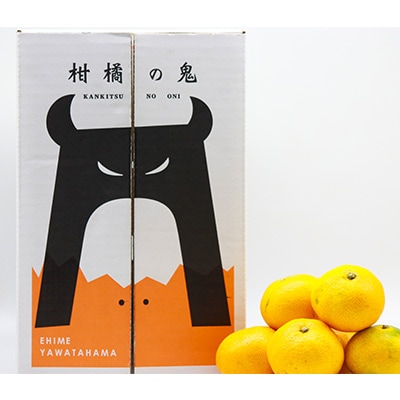 平均糖度13度!愛媛のみで生産の希少品種「媛小春」(2.8kg〜3.0kg)【D56−18】【配送不可地域：離島】【1262001】