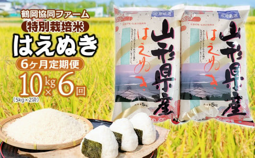 【令和7年産先行予約】 特別栽培米はえぬき 10kg (5kg×2袋)×6ヶ月【定期便】　鶴岡協同ファーム