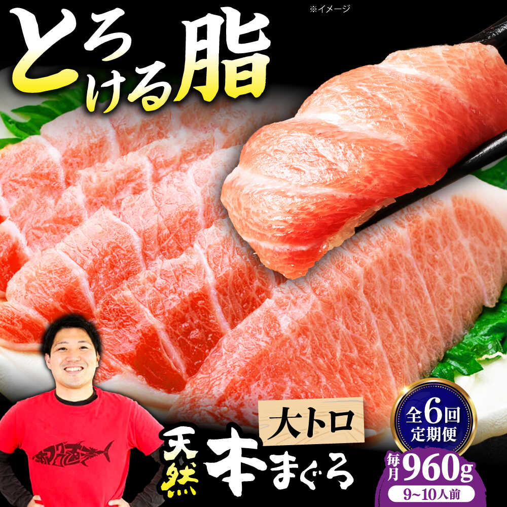 【ふるさと納税】【全6回定期便】極上！たね熟天然本まぐろ大トロ(960g) 天然 マグロ 鮪 大トロ 刺身 魚 魚介 大阪府高槻市/本まぐろ直売所[AOCE029]