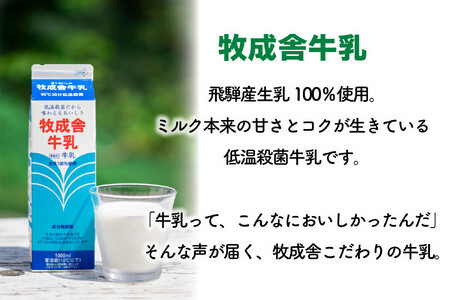 【3か月定期便】牧成舎の訳あり乳製品福袋（牛乳・ヨーグルト・チーズ詰め合わせ）訳あり 福袋 DF228