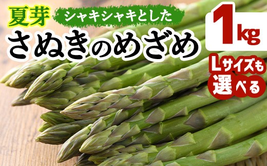 
                  ＜先行予約！2026年6月上旬以降順次発送＞＜Lサイズも選べる＞夏芽！さぬきのめざめ アスパラガス(約1kg) 【man084】【Aglio nero】
                
