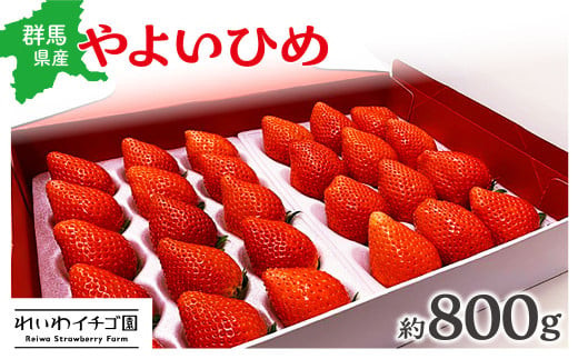 【2026年 先行予約】R3-13　「やよいひめ」贈答用いちご８００ｇ｜朝採れ やよいひめ たっぷり 贈答用 新鮮 特大 完熟 いちご 旬 苺 ストロベリー 高級 産地直送 果汁 甘い あまい 人気 