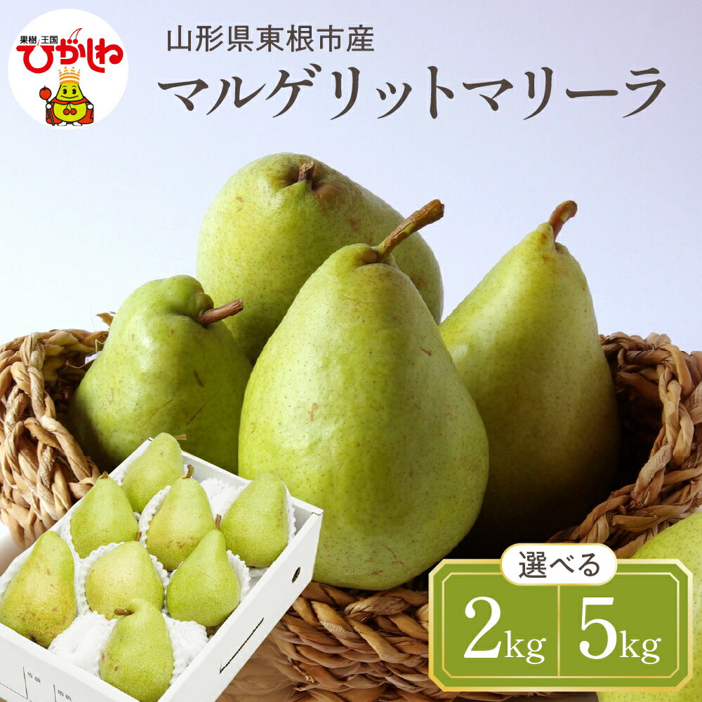 【ふるさと納税】【令和7年産 先行予約】 西洋梨 マルゲリットマリーラ ( 選べる内容量 : 2kg / 5kg ) 秀品 化粧箱入り / 洋なし 洋梨 洋ナシ フルーツ 果物 くだもの 化粧箱 期間限定 産地直産 ご当地 お取り寄せグルメ 送料無料 国産 東北 山形県 東根市
