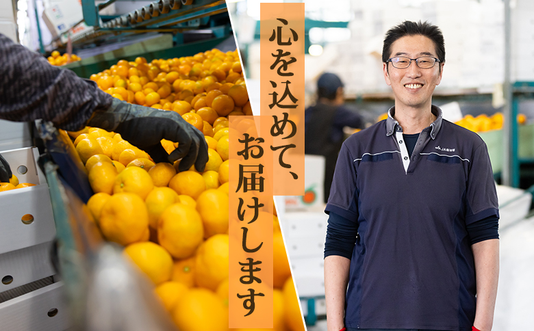みかん 約2.5kg みかんみかんみかんみかんみかんみかんみかんみかんみかんみかんみかんみかんみかんみかんみかんみかんみかんみかんみかんみかんみかんみかんみかんみかんみかんみかんみかんみかんみかんみか