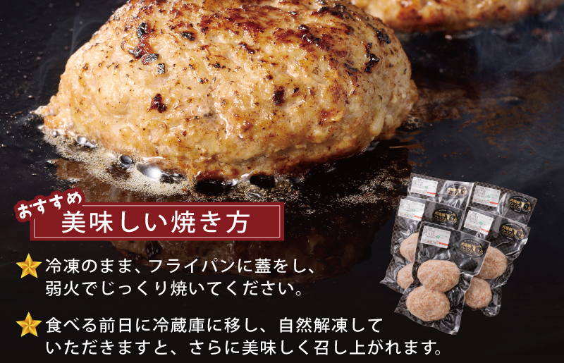 【泉佐野ブランド豚】犬鳴豚の手作りプレミアムハンバーグ（10個入り）×3回【国産 豚肉 ぶたにく 定期便 犬鳴ポーク 普段使い】 099Z552