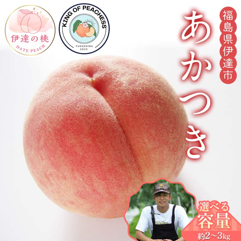 【ふるさと納税】＼容量が選べる／キングオブピーチ 桃 「あかつき」約2kg～3kg あかつき 伊達の桃 桃 もも モモ 果物 くだもの フルーツ 国産 食品 F21C-131var