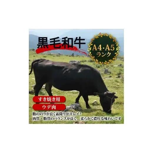 【 すき焼き 】 すき焼きウデ肉黒毛和牛6ヶ月
