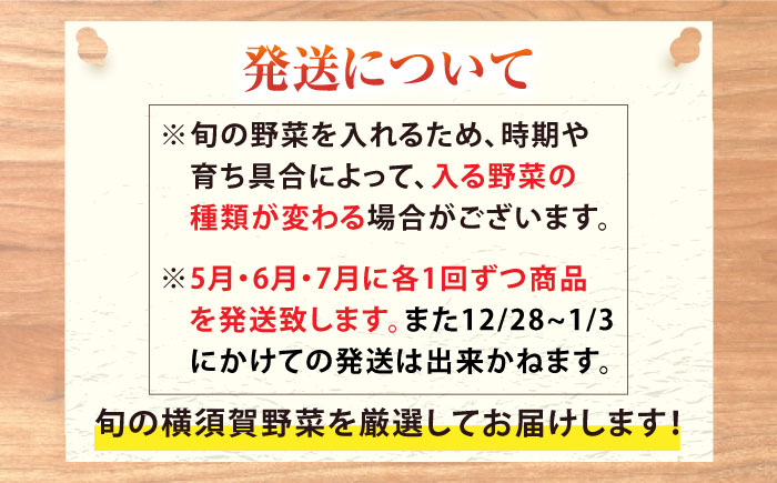 【先行予約】【３回定期便】すずなり採れたて野菜BOX　(10～15品)　夏（5月～7月）【鈴也ファーム】 [AKCE005]