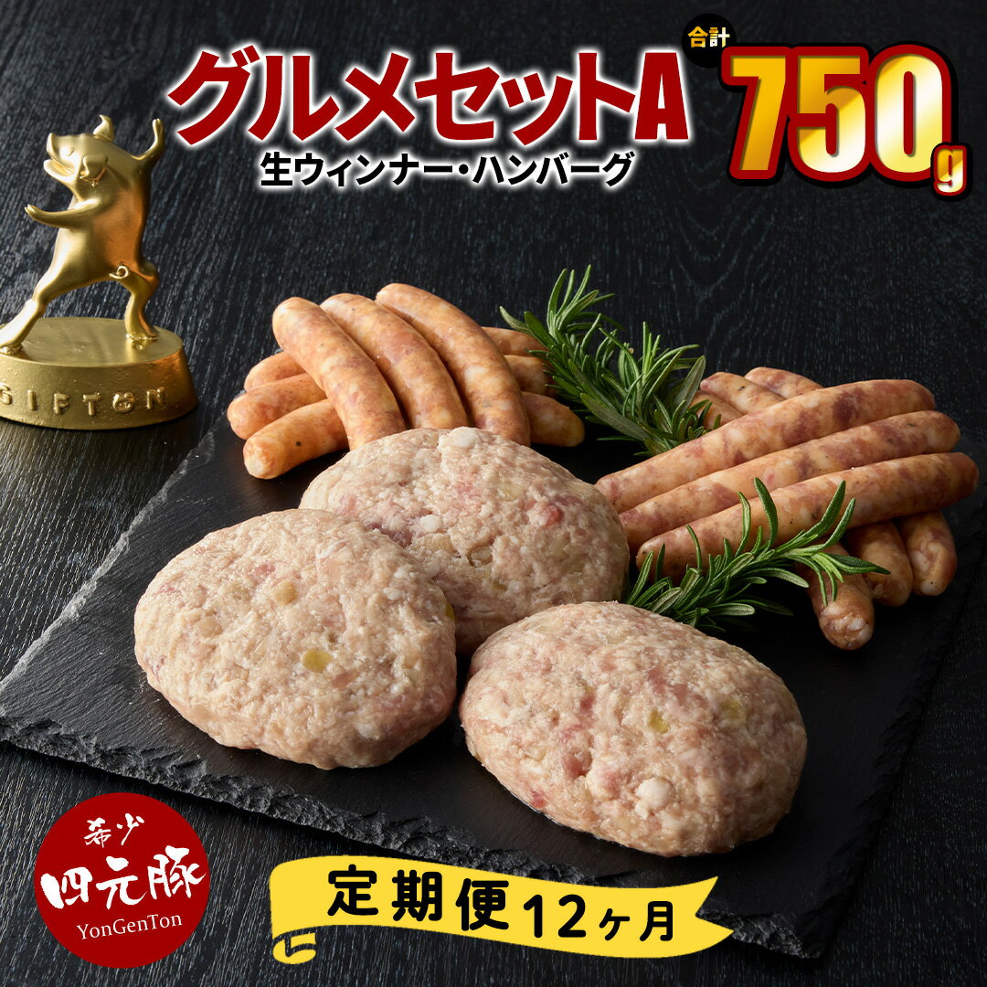 【ふるさと納税】【定期便12ヶ月】四元豚 グルメセットA 3種 750g （生ウィンナー2種・生ハンバーグ） ギフト お肉 豚肉 贈答