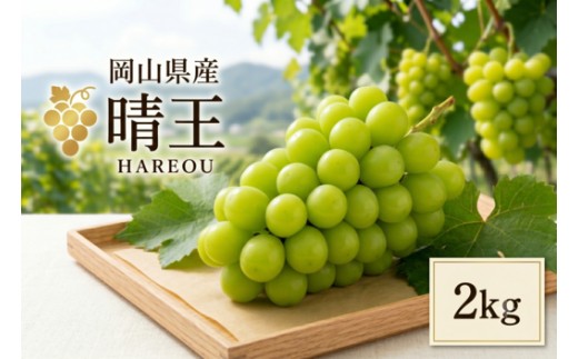 岡山県産 シャインマスカット 「晴王」  2kg  ぶどう フルーツ お中元 ギフト 御祝 御礼 贈答用 プレゼント 敬老の日 高級 フルーツギフト 産地直送 送料無料