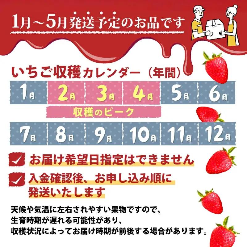 いちご【2027年1月～発送予定】古都華いちご（270ｇ×4P） drm001