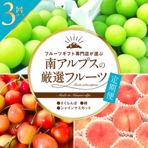 ＜2026年発送先行予約＞フルーツギフト専門店が選ぶ南アルプスの厳選フルーツ定期便 全3品種（さくらんぼ・桃・シャインマスカット） ALPAH009